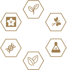 2003网站太阳集团-首页(接待您!)