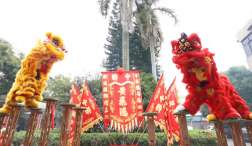 龙腾狮跃，，共铸绚烂未来！
